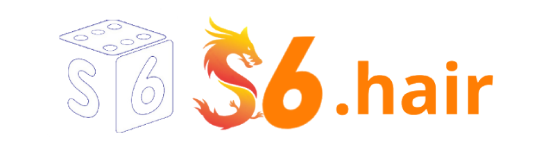 s6